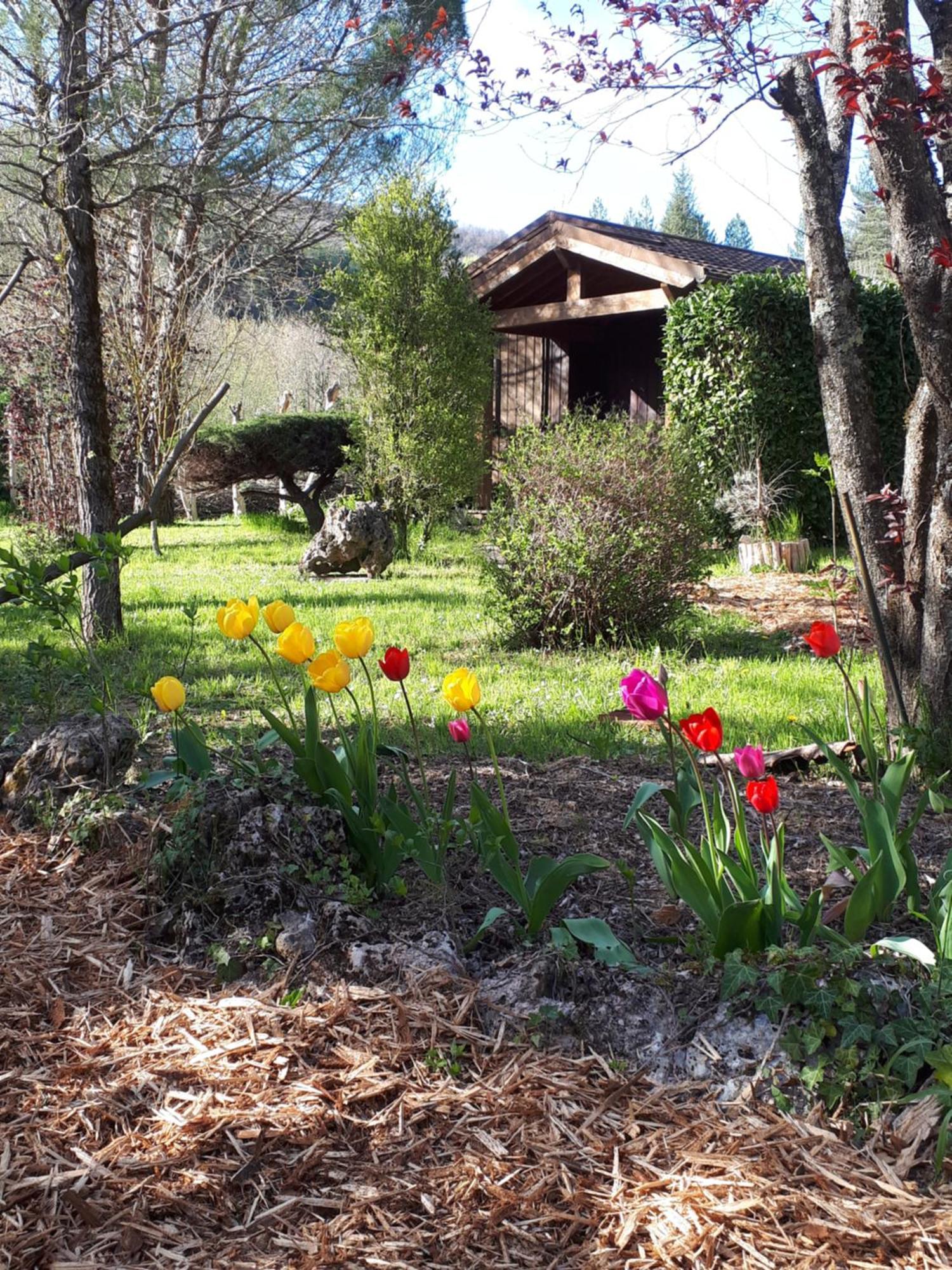 Les Chalets Du Roc Alzon Εξωτερικό φωτογραφία